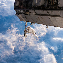 Lótusz transzformációs nap